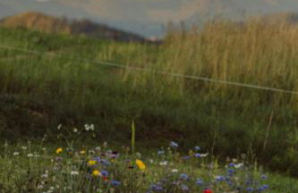 Houten Villa "ReisnaarPolen" Royaal ontbijt tevens Gluten Lactose vrij, Vega en diner mogelijk, sauna en Hottub - Foto 37