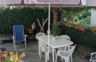 Ribeira da Praia House - Photo 15