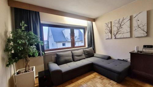 BAT Home Solutions Trier-Euren - alles was ein Hotel nicht bietet - 10 Min zur Altstadt - 98 qm Scheune für 9 Personen mit Sternenhimmel, Wintergarten, Grill und Kino - barrierefrei dank Lift & Auffahrt - Foto 4