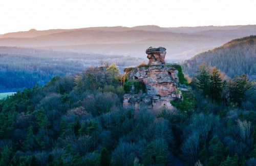 Ferienwohnung Weitblick im Dahner Felsenland - Foto 42