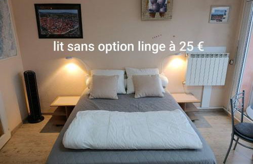 Locations Vacances Obernai Studio - Foto 28