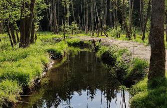 Appartement Hauzenberg-Panorama - Foto 41