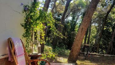 La casa in pineta - Foto 3, Garden