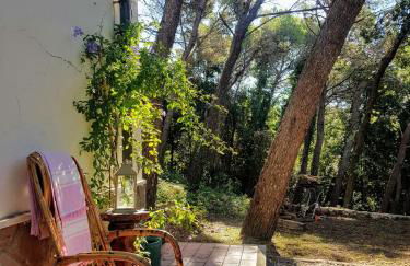 La casa in pineta - Foto 3