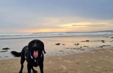 Old Road Cottage Pet Friendly Outdoors Beaches - Photo 18