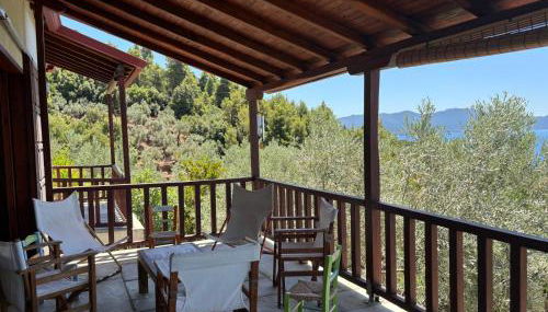 Olive Grove House - Foto 4