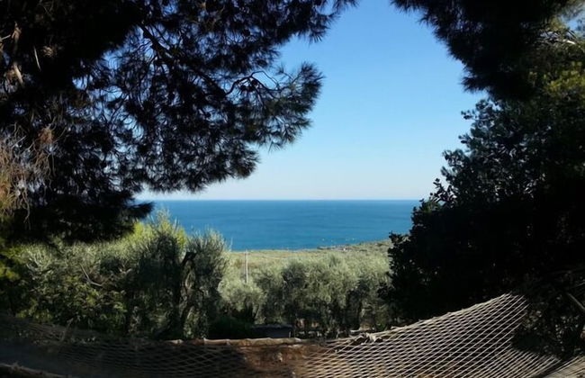 Residence Mattinatella - Photo 36