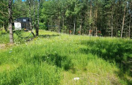 Domek "Mysze Góry" wypocznij za miastem blisko natury, Kaszuby w okolicy Trójmiasta - Foto 18