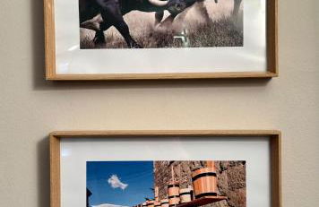 Maison Dédé - CIR Charvensod 0004 - Foto 14