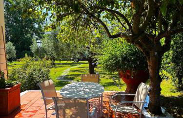 - Luxury Villa - Pool - Garden -Forte dei Marmi Versilia- - Foto 18