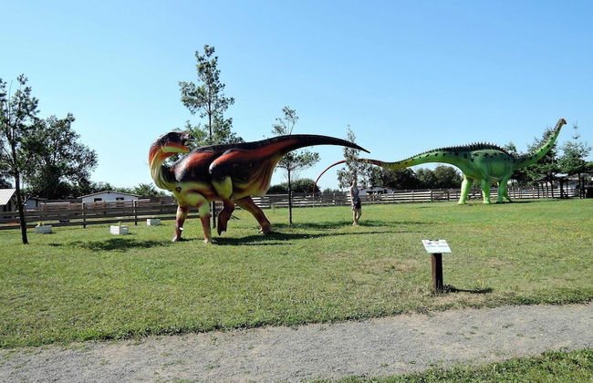 Bungalow in Wrzosowo Near Baltic Sea Beach - Photo 16