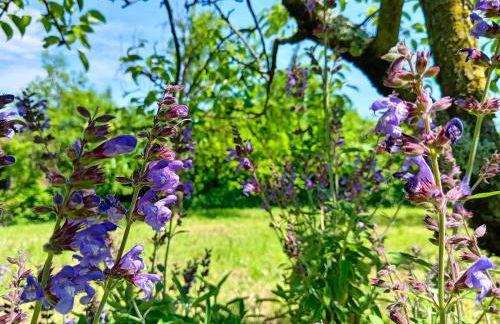 La Gemma Netro - Foto 31