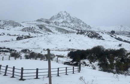 Apartamento Asturias - Foto 3