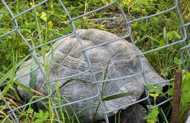 AGROTOPIA Guesthouses - Foto 59