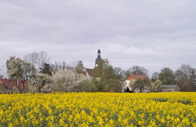 Geraeumige Ferienwohnung in Boddin mit Garten - Foto 18