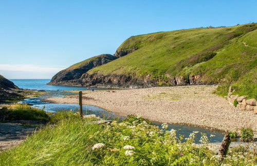 Crug Y Felin - Foto 30