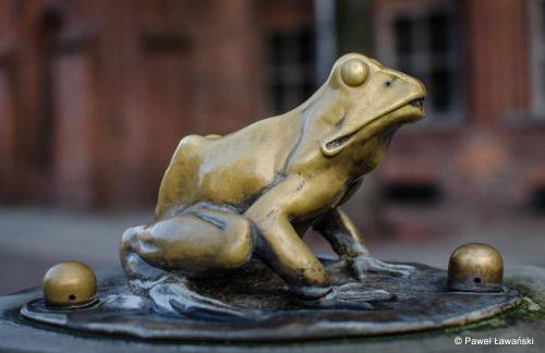 Apartament Gra - Gothic House - Photo 37