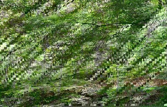 Familiehuis Dolve - Photo 43