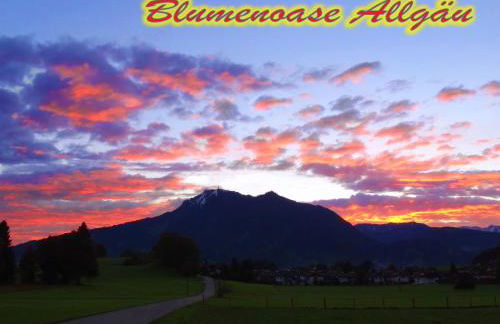 Blumenoase Allgäu - Foto 13