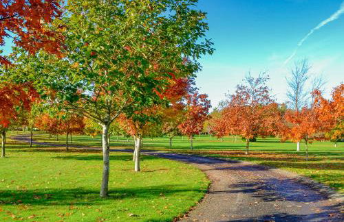 Grange Of Berryhill - Uk41534 - Foto 31