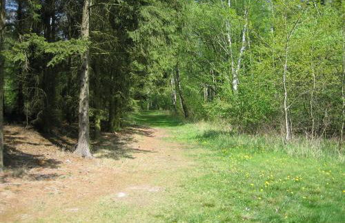 Ferienhaus am Silbersee 86 - Foto 36