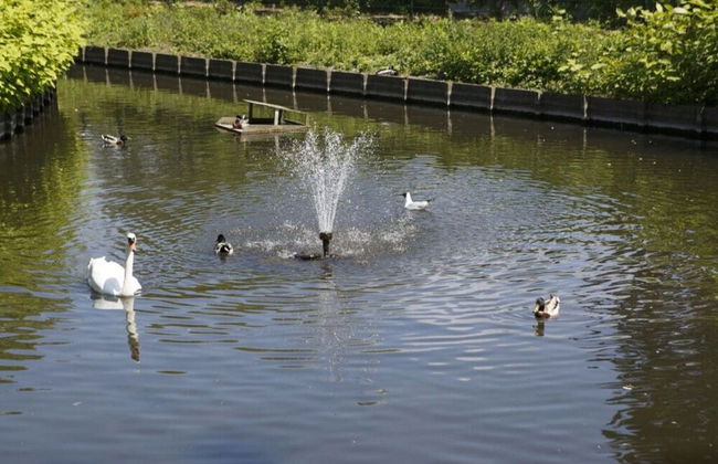 Mosselbank 83 Comfortable Holiday Residence - Foto 18