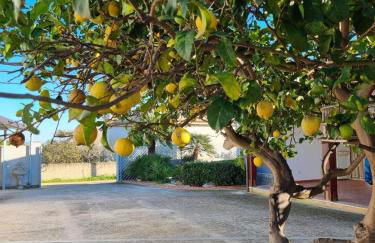 Villa Maniscalco - Foto 21