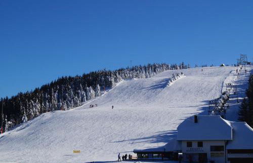 Terrassenpark Apartments - Foto 16