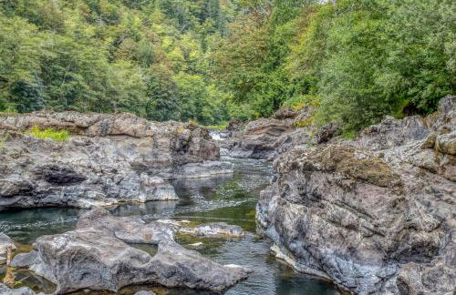 Coastal River Haven - Meredith Lodging - Foto 47