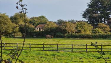 Luxury Seaside Caravan - Foto 1