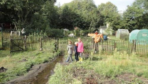 Tinyhouse on wheels - Foto 3