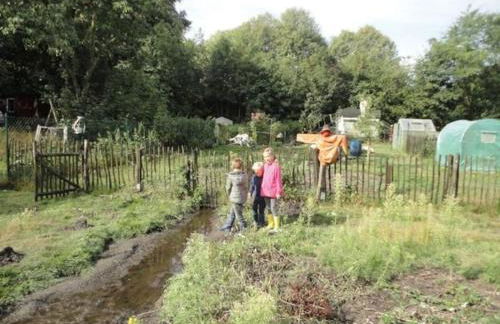 Sonnige Wohnung im Waldgebiet - Foto 20