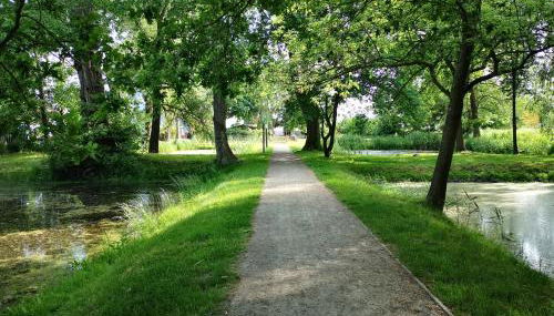 Sommerhaus Verchen - Foto 4