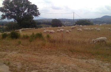 Agriturismo La Carletta - Foto 59