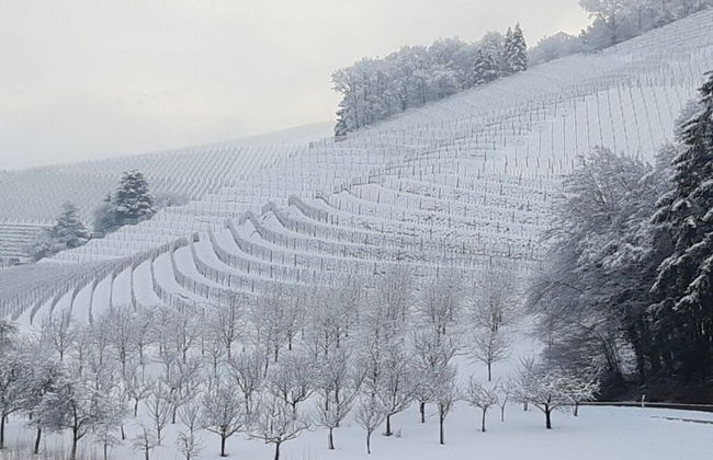 Fantastic Apartment in Oberkirch - Foto 8