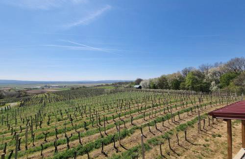 Kuća za odmor Baron - Foto 36