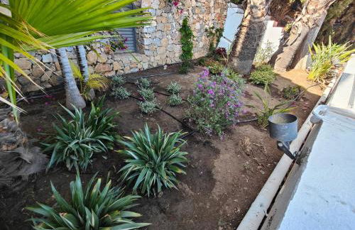 Only Adult Villa El Abanico - Foto 18