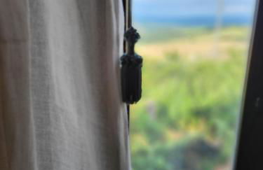 Country House La Collina di Bargiano - Casa Raffaella - Foto 59