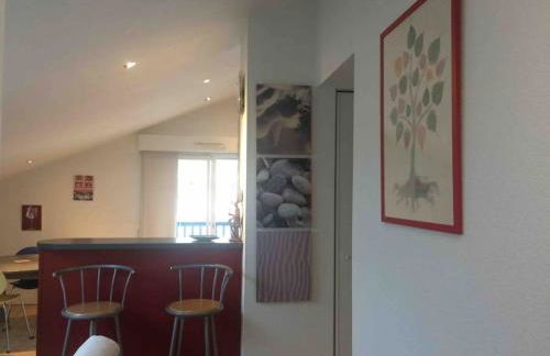 Bidart côte basque T3 250 mètres de la plage 3*** - Foto 28