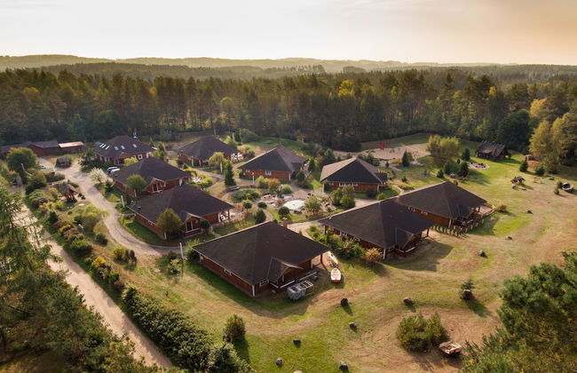 Leśna Oaza - Foto 1