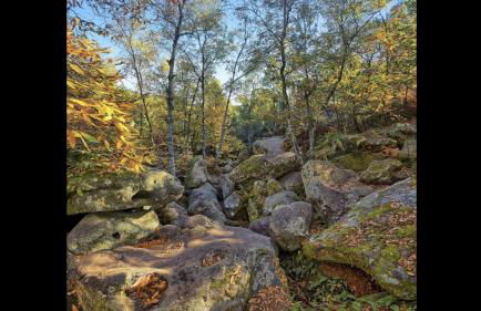 Joli studio SCANDINAVE - Foto 17