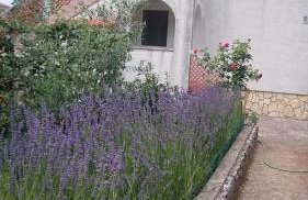 Apartmani Škrnjug - Photo 14