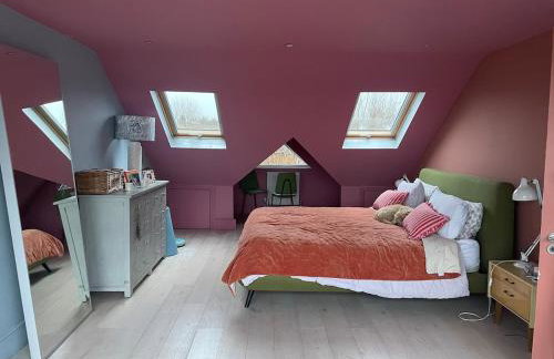 Light & spacious family house, Kensal Rise, London - Foto 3