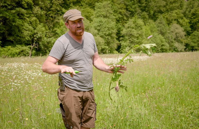 Nengshof - Haus Wildrose - Photo 36