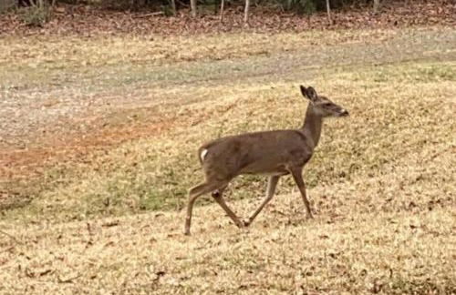 Eagle Mountain River Retreat - Foto 32
