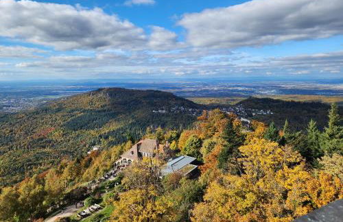 Schwarzwald-Ferienwohnungen Begert - Foto 56