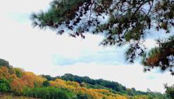 Casa da Vó Hospedagem Afetiva - Foto 2