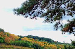 Casa da Vó Hospedagem Afetiva - Foto 3