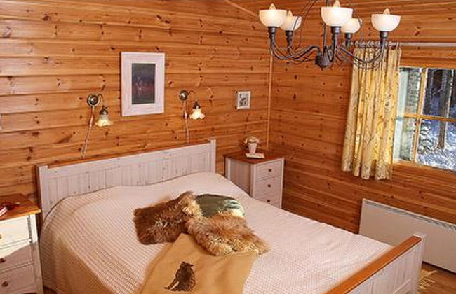 Mäntyniemi - Foto 9