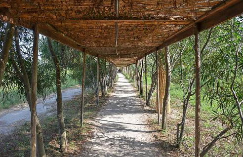 Akiris Bilo - Foto 36